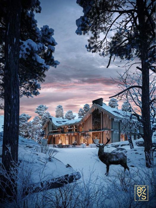 Projects - House Projects - Chalet 2000 Sq.m. - A photo  2