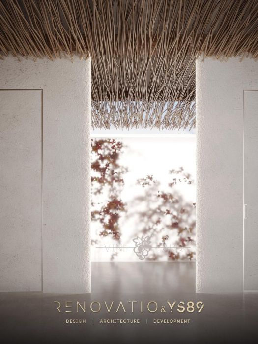 Projects - Cafes And Restaurants - Vineyard - A photo  13